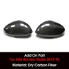 Dry Carbon Fiber