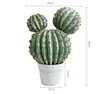 Cactus DOPPIO a testa grande in velluto rosso