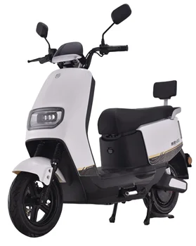 2024 Saige Electric Motorcycle  800W  With Backrest