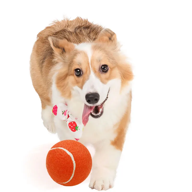 Factory Wholesale High Quality Ball Pet Dog Rubber Tennis Ball Toy Training for big dog