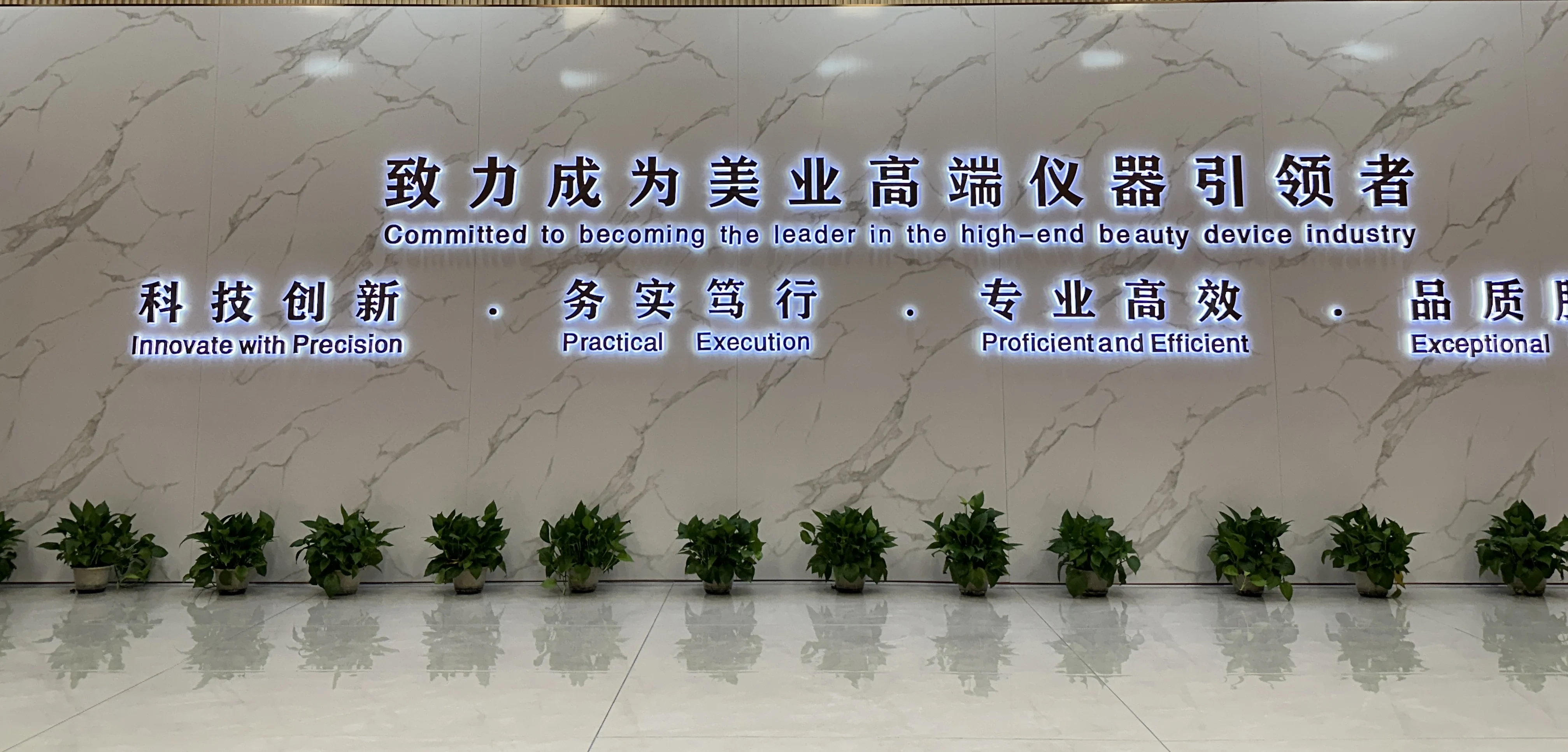 Guangzhou Youshangmei Beauty Technology Co., Ltd.