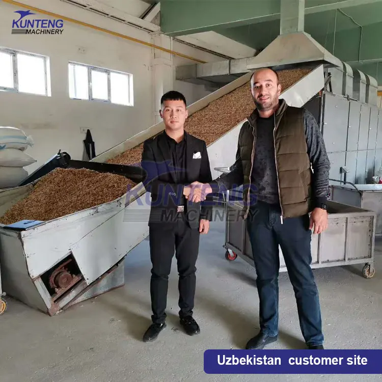 Continuous Mesh Belt Dehydrator Cassava Peanut Tomato Sweet Potato Ginger Slice Dryer Drying Machine