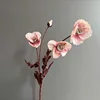 Rosa3
