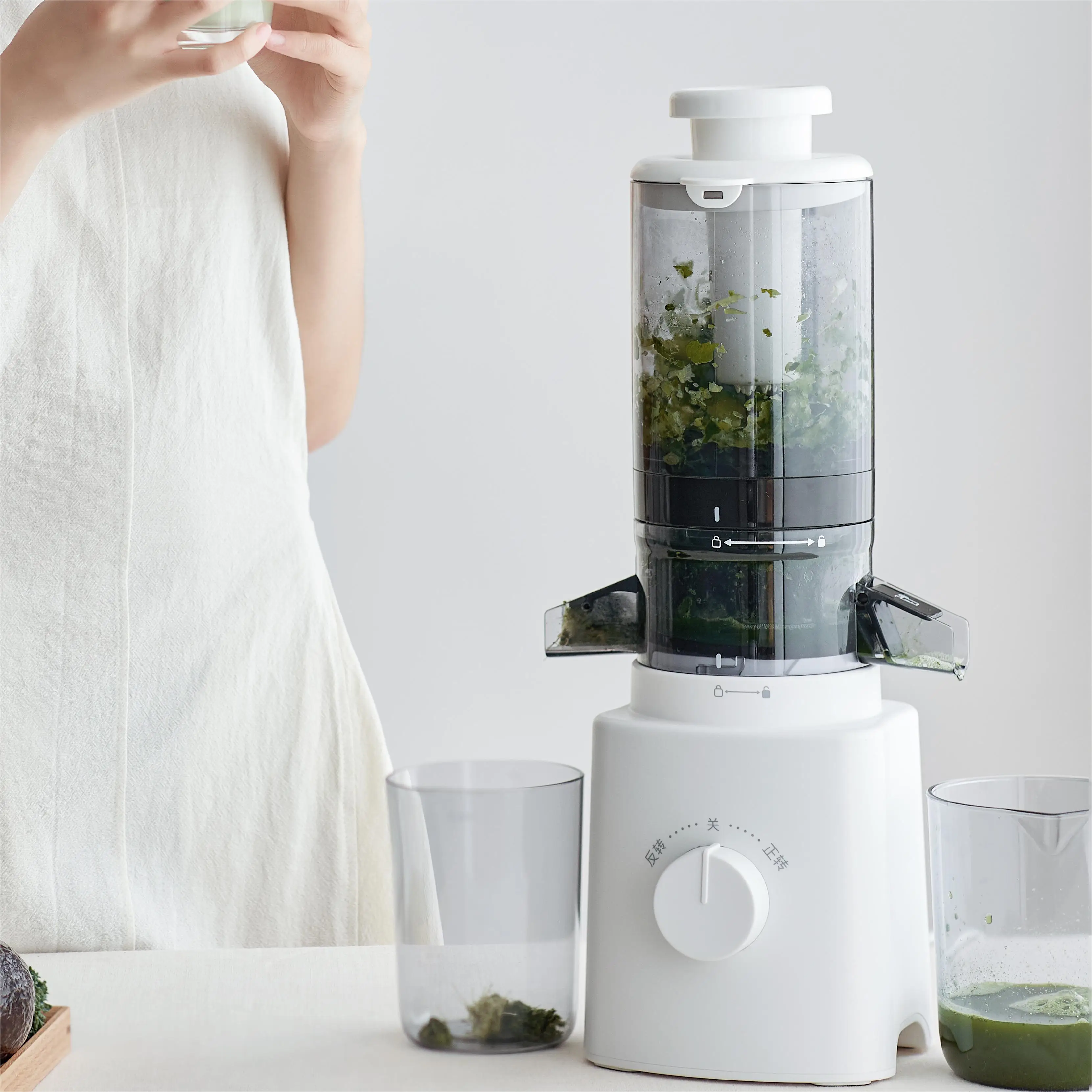 Olayks Home Use Multi-purpose Fruit Squeezer Electric Juice Extractor Machine Ice Cream Processor Juicers