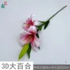 ลิลลี่ วาย สีชมพู 3 มิติ