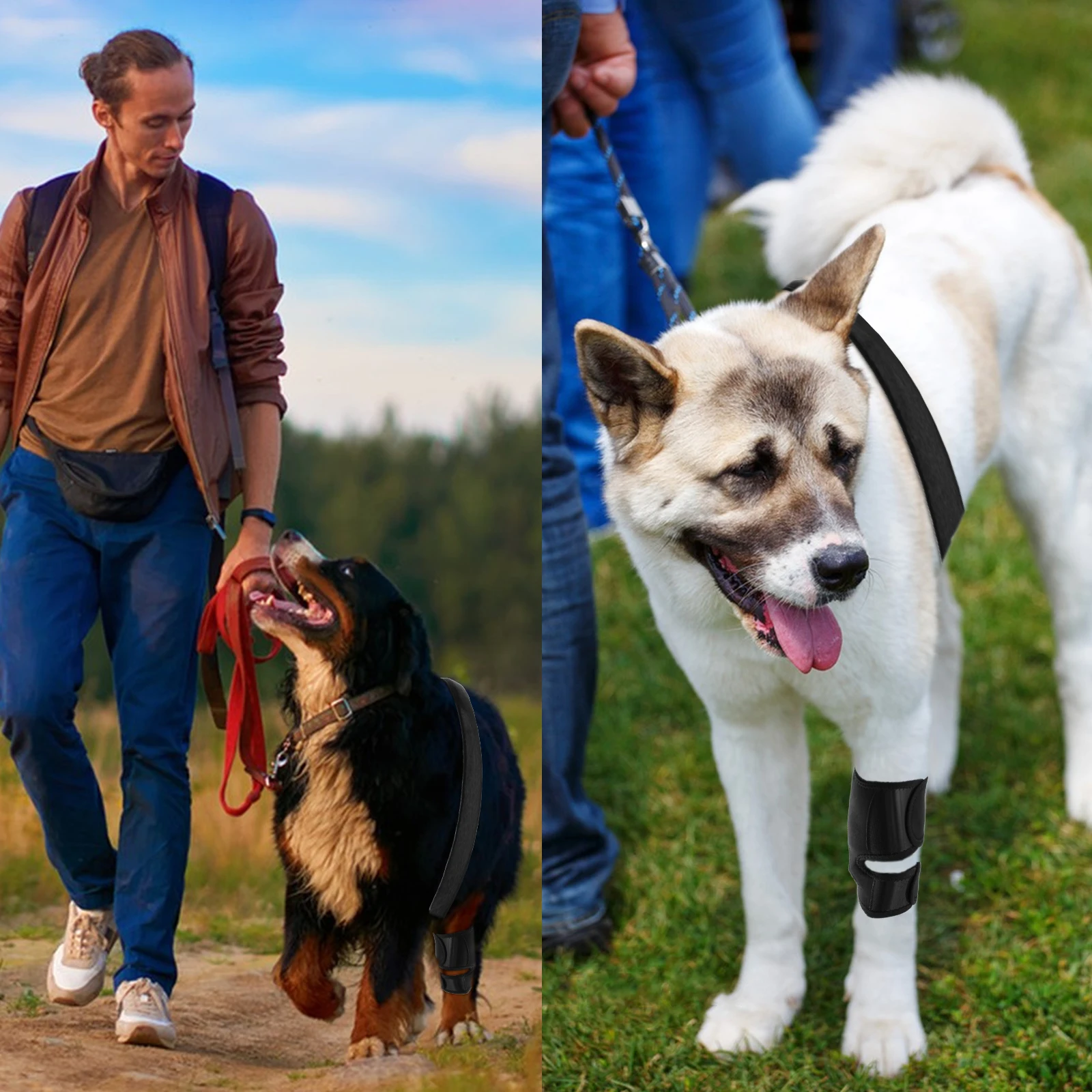 Custom Dog Knee Brace Leg Wounds Care Harness Helps Dogs With Lameness