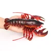 910 Homard de Boston