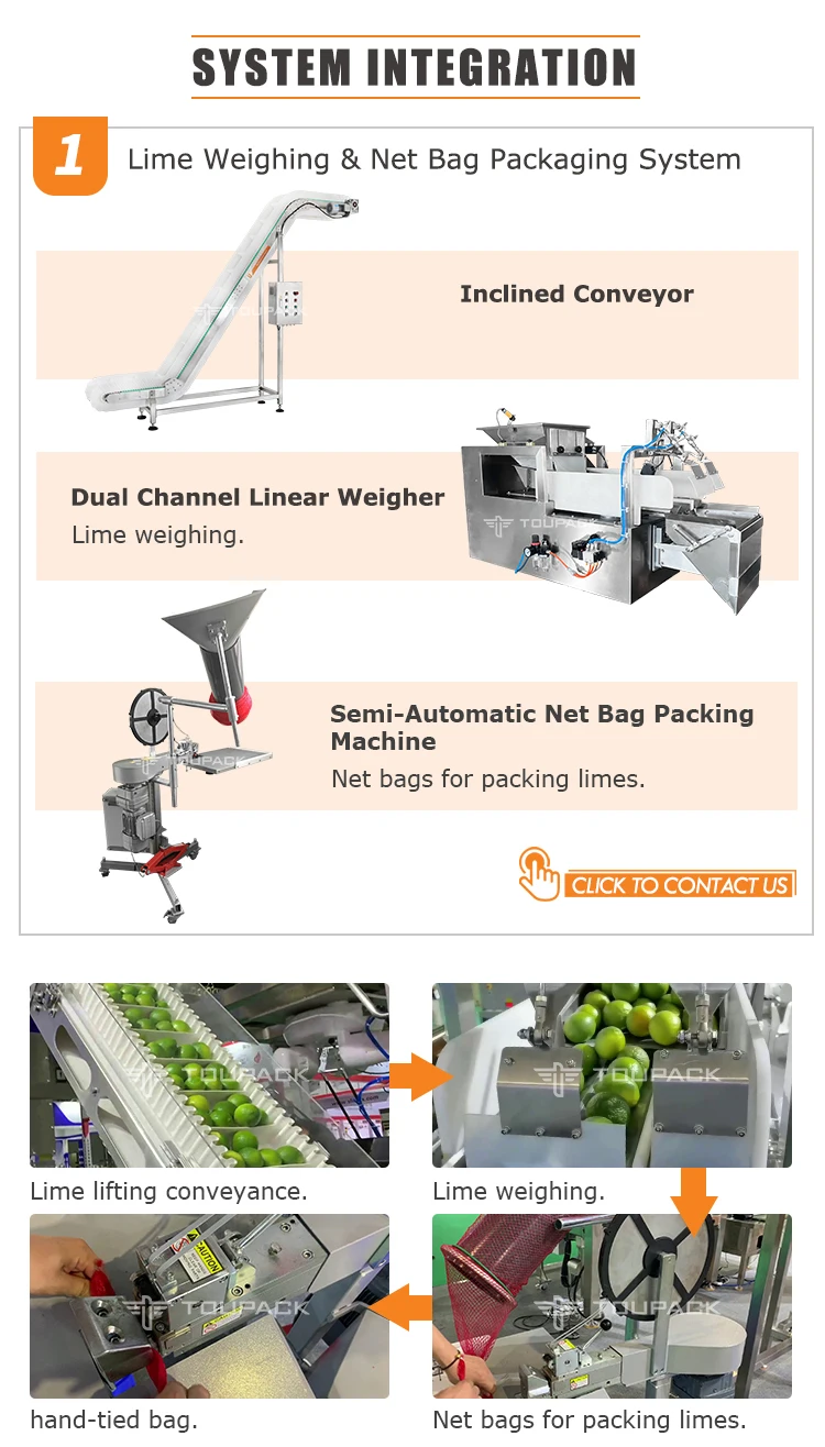 Automatic Net Packaging Machine with 25-40 BPM Speed 220V Electric Driven and 1.5 Years Warranty
