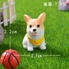 Color del corgi