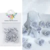 Gris 30 pièces