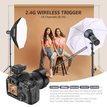 Neewer ML300 300W GN60 Outdoor Studio Flash Strobe Li-ion Battery Powered Cordless Moonlight with Wireless Trigger,Full Power detail image