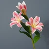Rose diamant