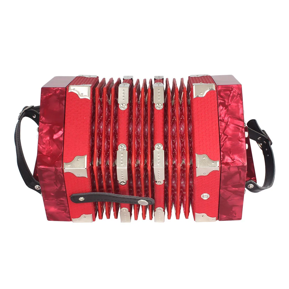IRIN20 Key 40 Tone Hexagonal Accordion - Professional Performance