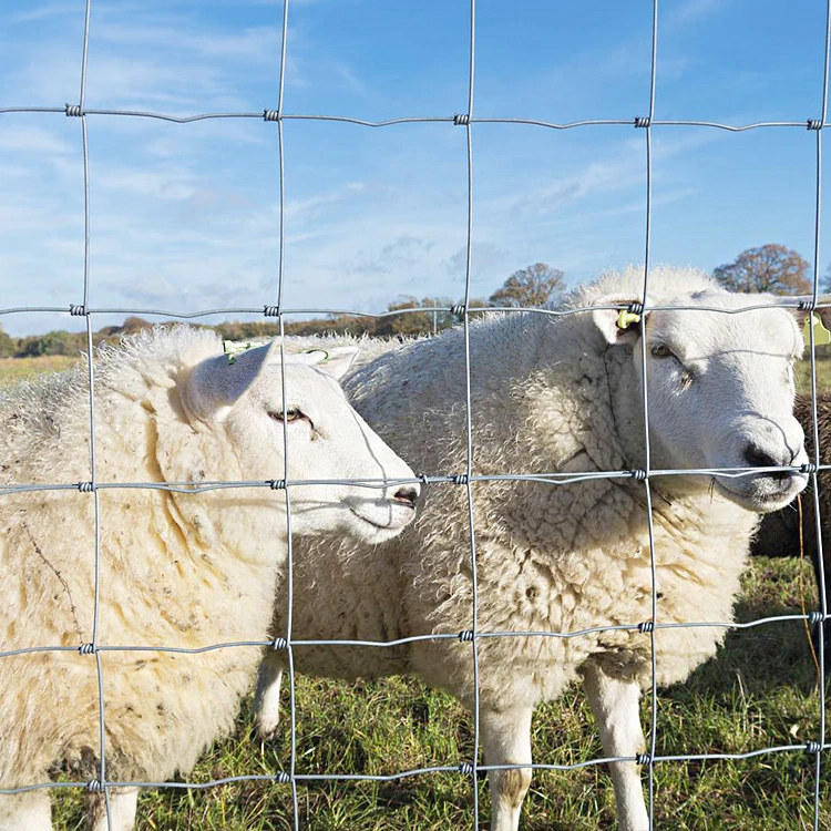 Factory Produced 8ft Galvanized Sheep Fence, Anti-rust and Anti-corrosion, Chain Link Fence with Uprights  Cattle Fence