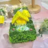Cottage de jardin-jumbo