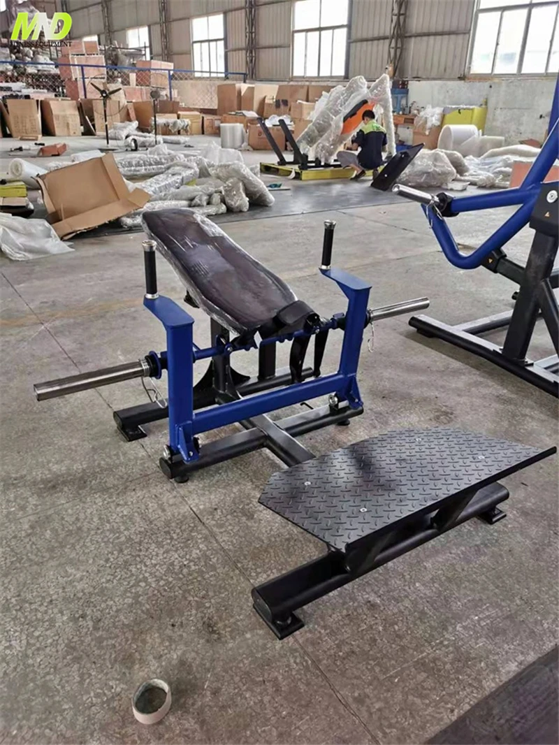 Body Building Body Exercise Gym Equipment New Arrival Fitness Machine  Popular Gym Equipment Hip Lift Equipment Wholesales