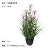กระถางขนาด 70 ซม. พร้อมดอกบัวสวรรค์ 7 ดอก