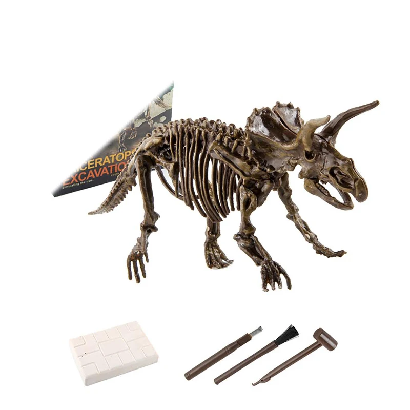 Wholesale Meu dinossauro t-rex xj244, fósilos esqueleto para compras From  m.alibaba.com