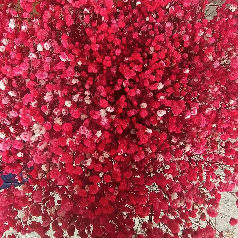 product preserved baby breath gypsophila dried flowers for wedding party or home table decor for christmas valentines day or easter-60