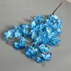 3Forks Single Layer Blue