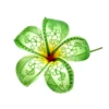 PRF-256  Green