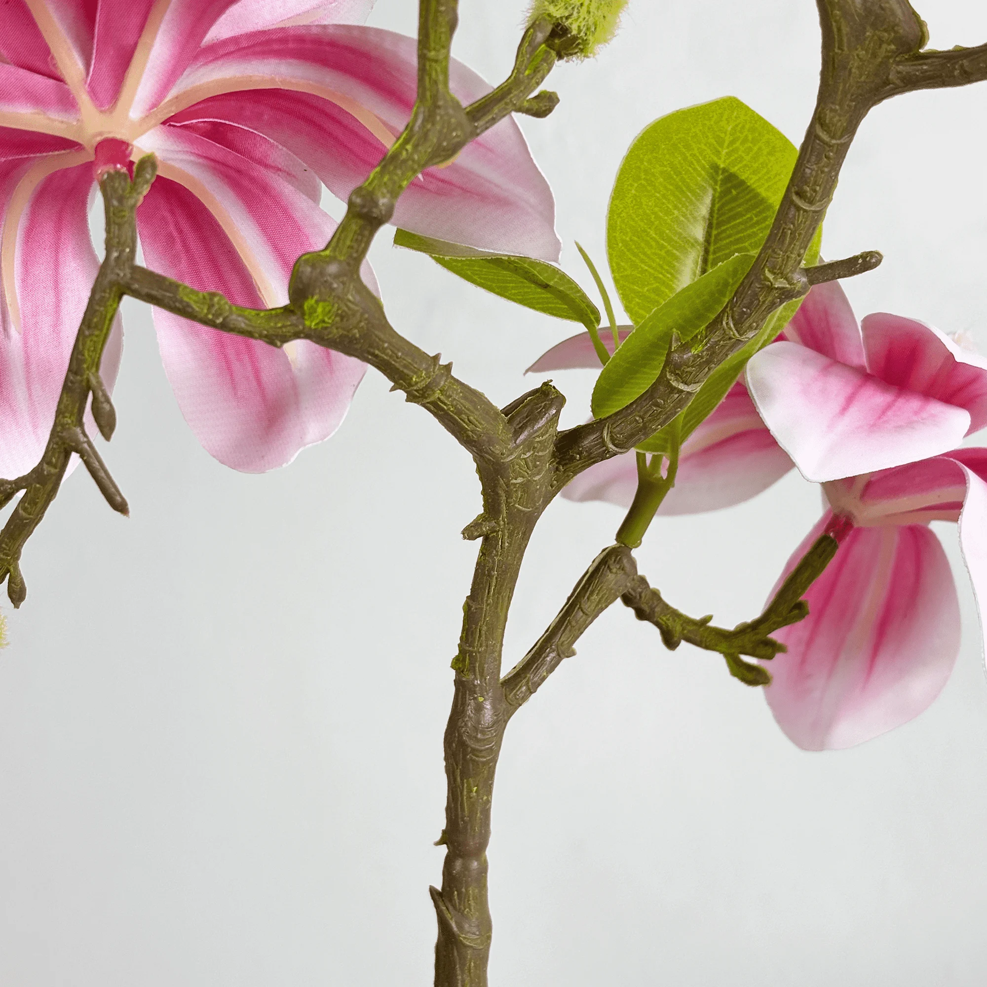 细节图4