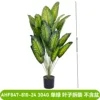 AHF847-810-24