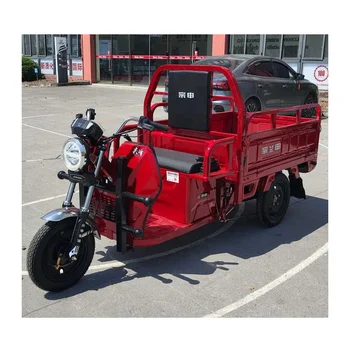 Triciclo Electrico Adulto Three-Wheel 3 Wheeler E Tricycle / Adult Heavy Duty 3 Wheel Electric Cargo Truck 3-Wheel Motorcycle
