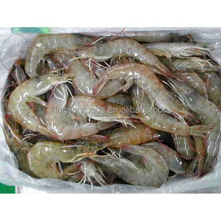 Penaeus vannamei креветки. Креветки тигровые ваннамей. Королевская креветка ванамей. Litopenaeus vannamei креветки. Креветка ваннамей (иран) иранская 50/60.