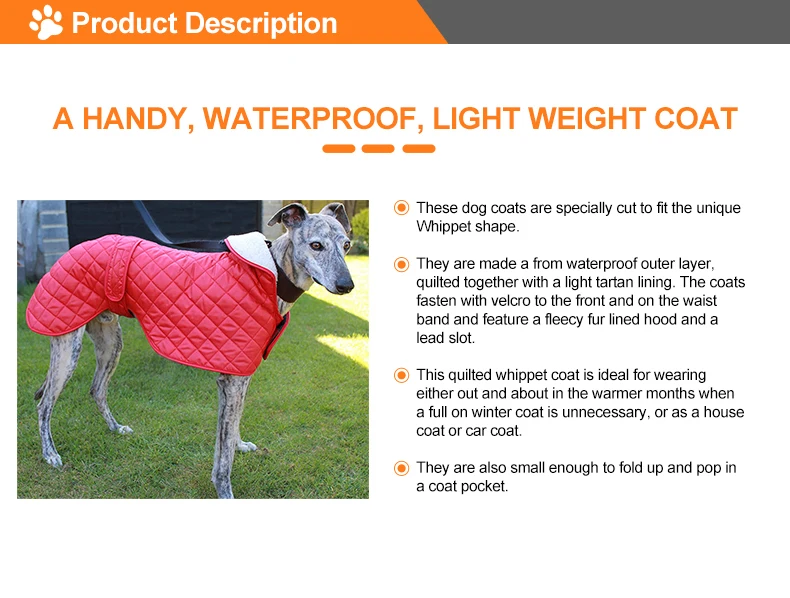Manufacturer Wholesale Multicolors Coat Whippets Italian Greyhounds