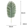 Areca palm-dark-extra-large leaves