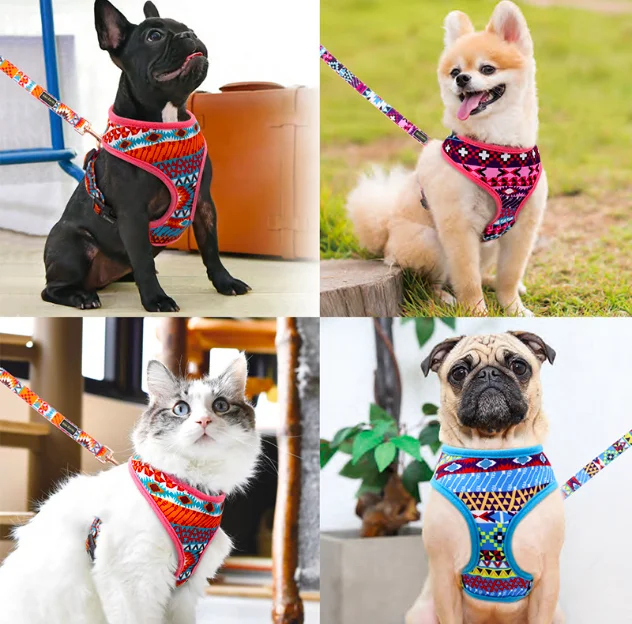 Nylon Personalized Buckle Quick Release Cat Harness And Leash Set