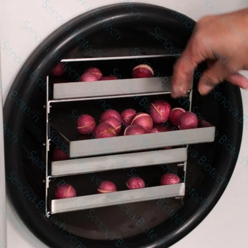 Малый пищевой фруктовый вакуумный сушильщик лиофилизатор Шанхай для домашнего использования