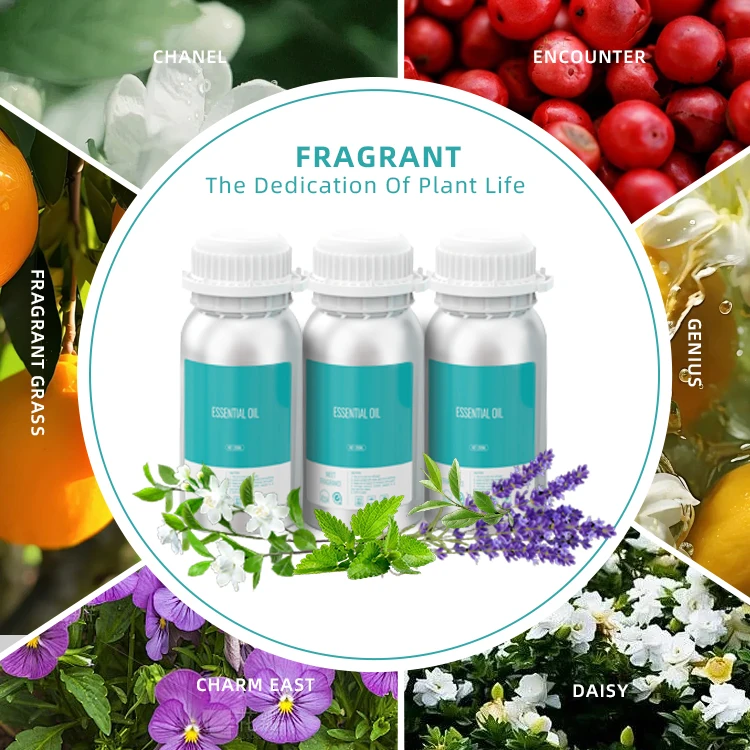 Wholesale Bulk Perfume Oil Fragrance Arabic French