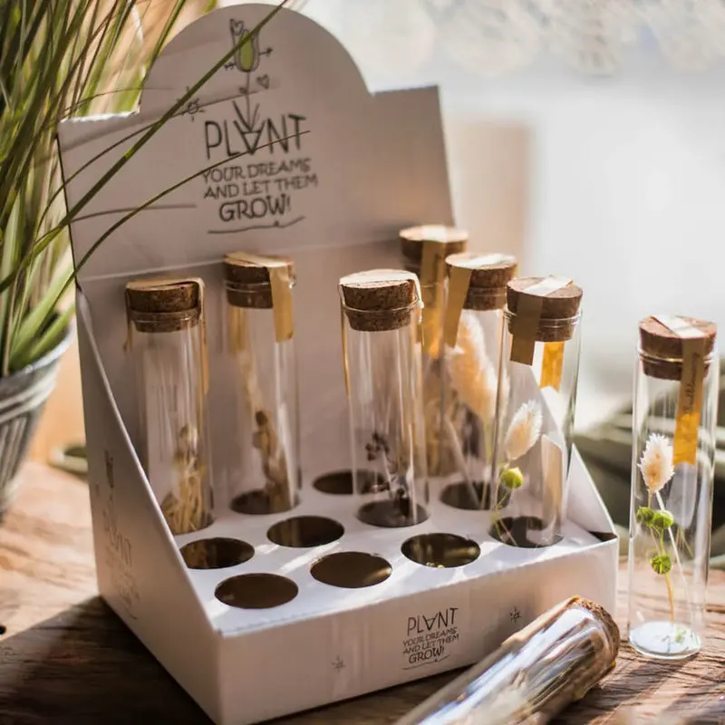 Ваза для террариума