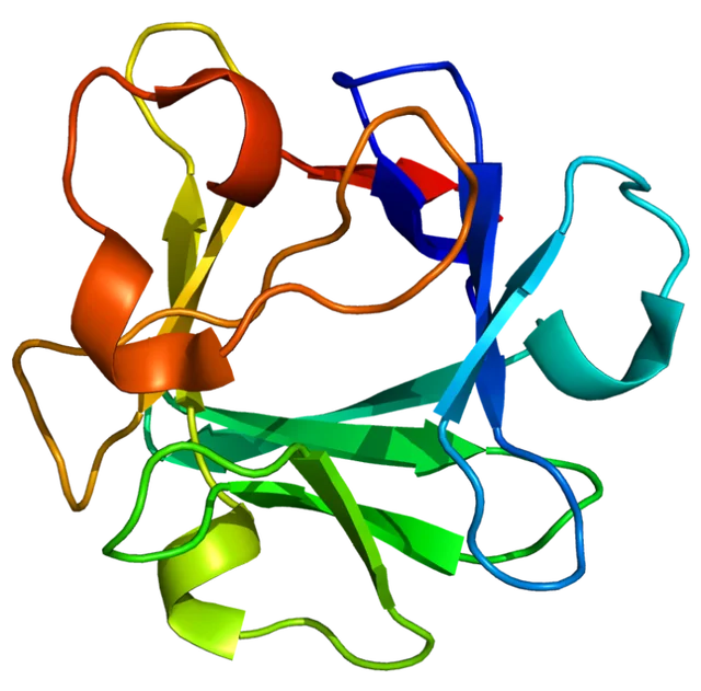 106096-92-8 acidic fibroblast growth factor powder afgf