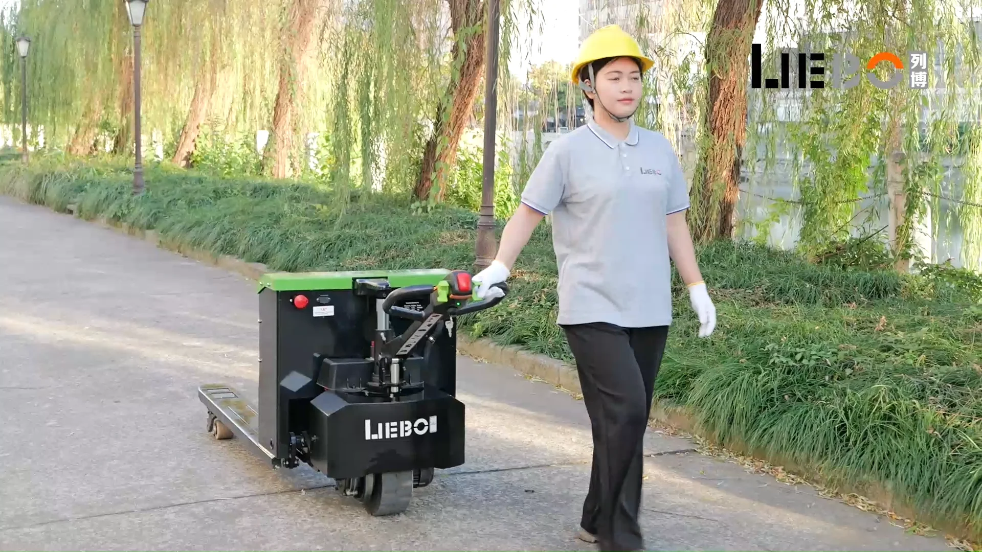 Liebo Battery Powered Off Road Pallet Truck Lift Truck Walking Semi