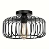 LED birdcage chandelier
