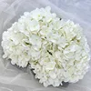 Blanco cremoso