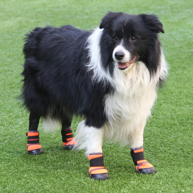 high dog boots