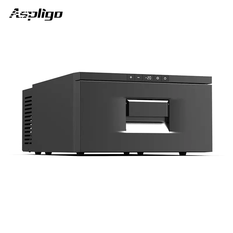 Factory All Size 23L 12v 24c Dc Compressor caravan Rv Built in Refrigerator Drawer Fridge Car Refrigerators