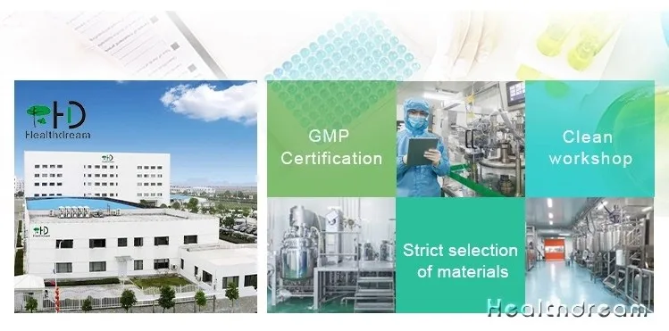 China Mainland Yogurt Starter Culture Powder for  Cheese