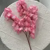 Middle Pink