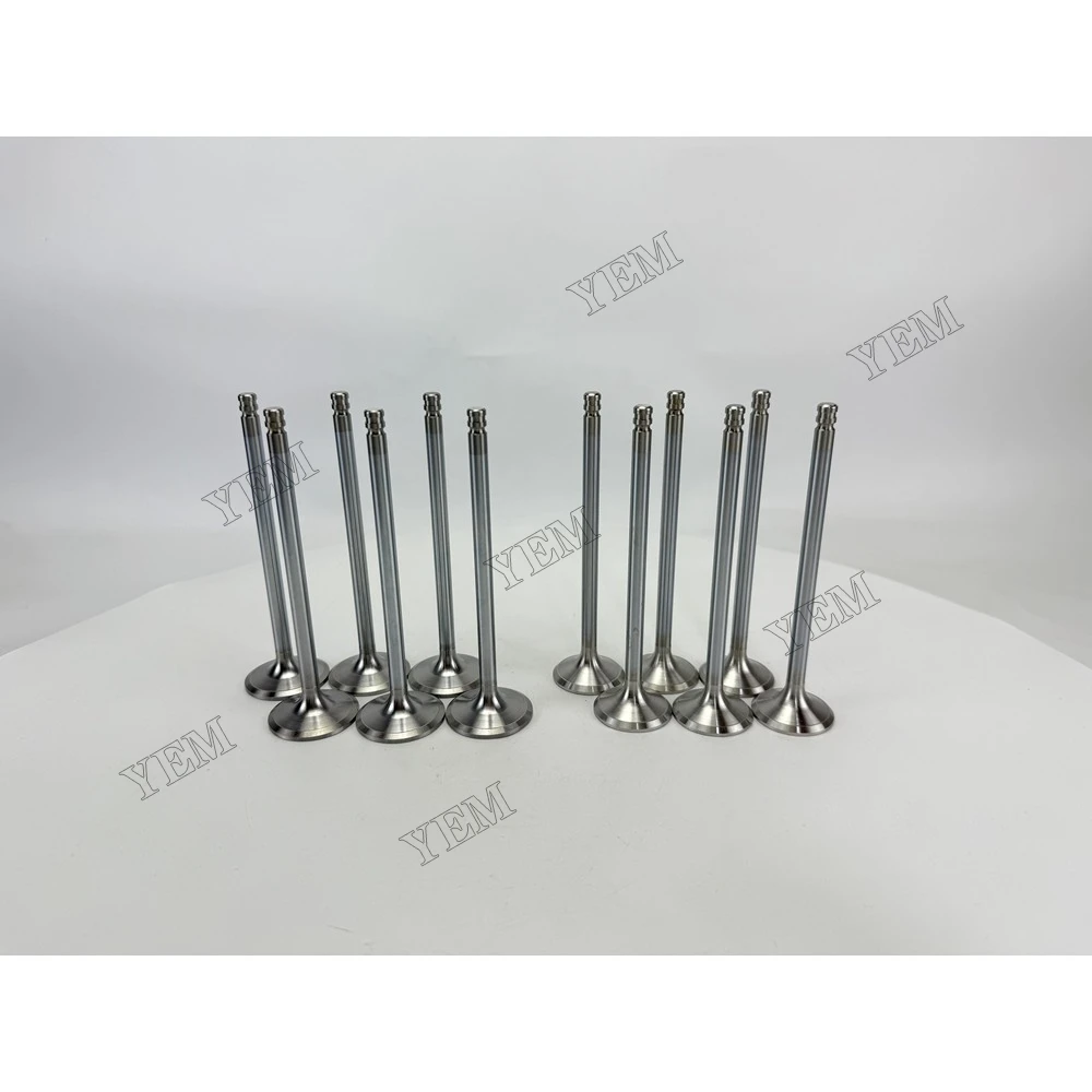 Extra Durable 8192143 3825723 for Intake and Exhaust Valves TD640VE