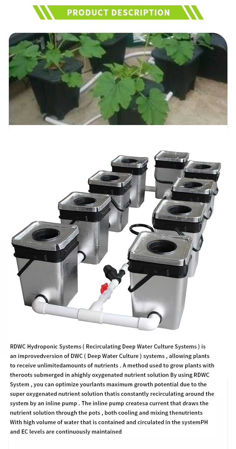 Rdwc 8 Buckets Recirculating Hydroponics System Clone Container