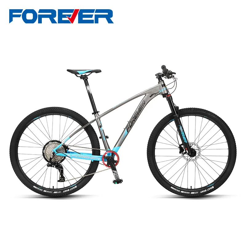 Forever X880 29 Inch 13 Speed Hot Sale Bicyclehigh Quality Mountain Bike Ride On Car Cycle Mtb Buy Cycling Mtb Bike Product on Alibaba