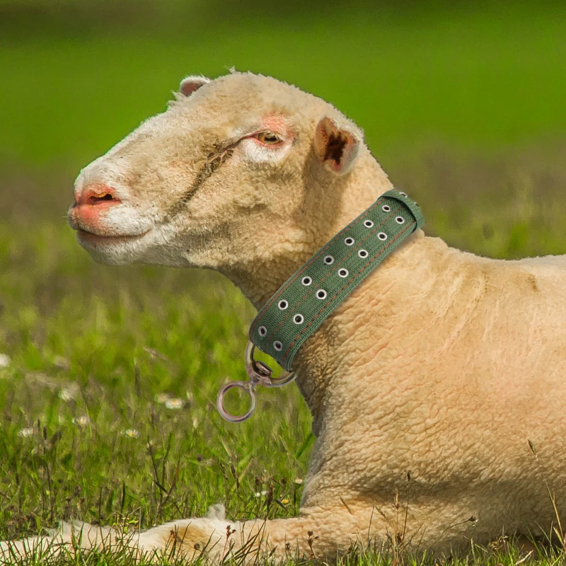 Rinder Schaf Hund Ziege Esel Pferd Kuh Halsband Leinwand Grtel Starke  haltbare Halskette Belay Krawatte