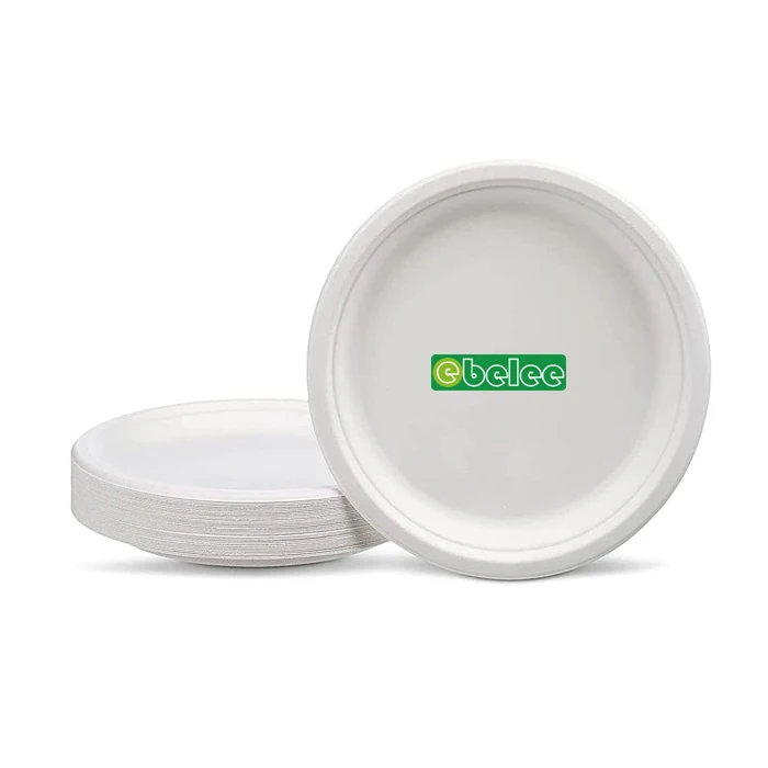 100% Compostable Paper Plates  3 Compartment Disposable Plates Heavy-Duty Quality, Natural Bagasse
