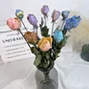 10 colori misti casuali