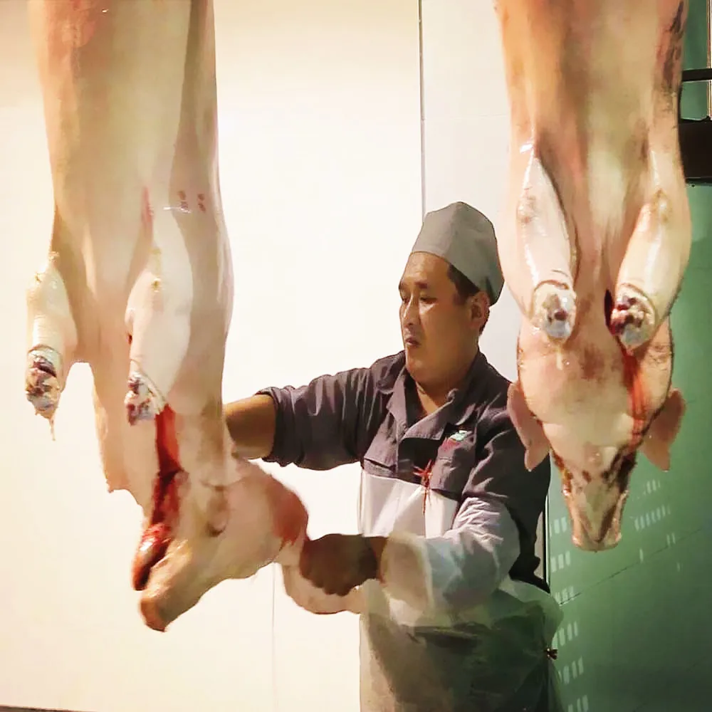Pig slaughterhouse equipment new pig slaughtering production line with pig soaring band saw